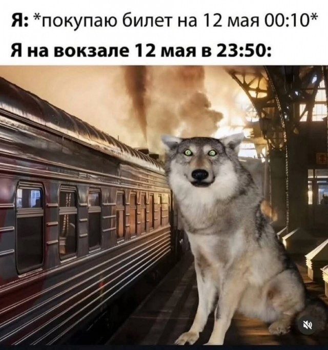 Прикольные картинки