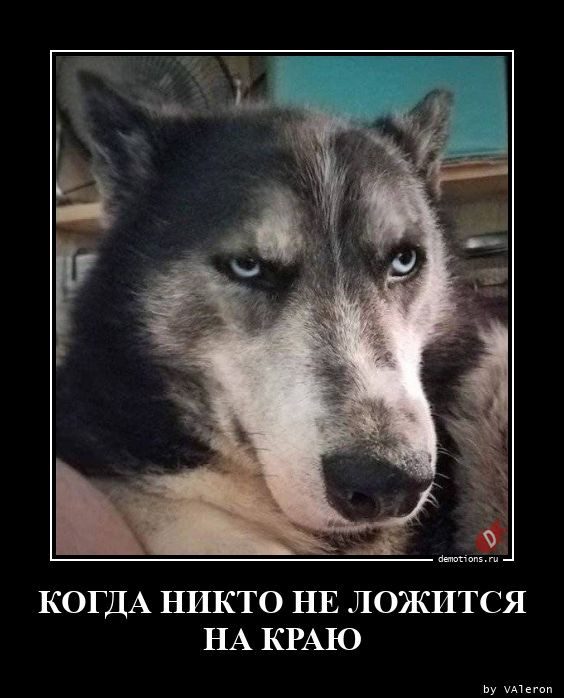 Демотиваторы для всех