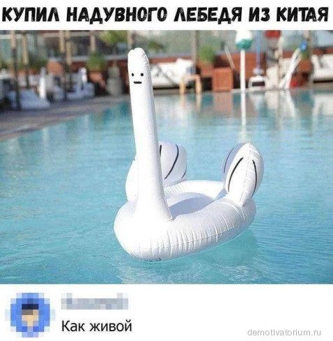 Прикольные картинки для всех