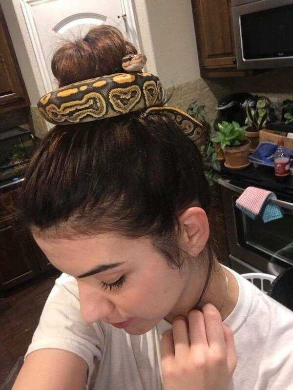 Фотоприколы для всех