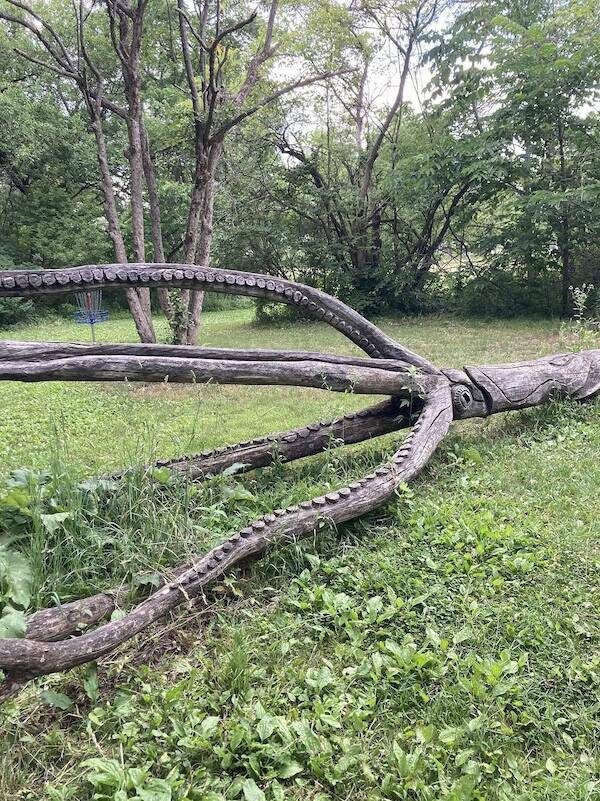 Фотоприколы для всех