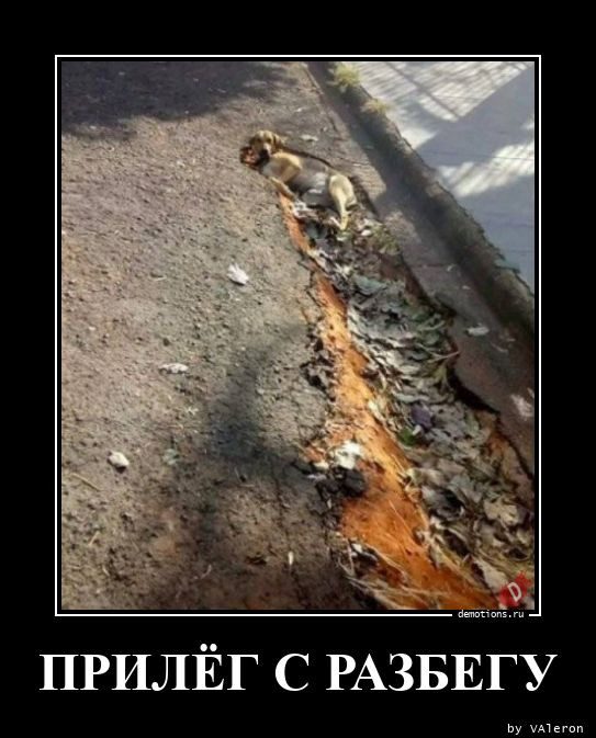 Демотиваторы