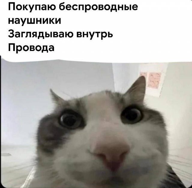 Подборка картинок