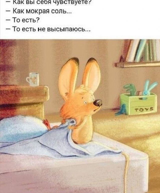 Приколы