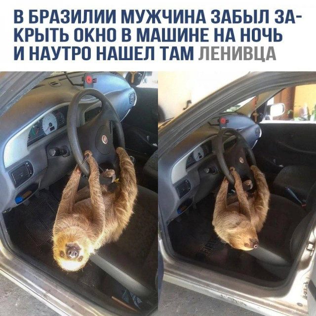 Фотоприколы
