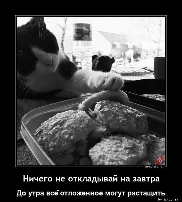 Демотиваторы
