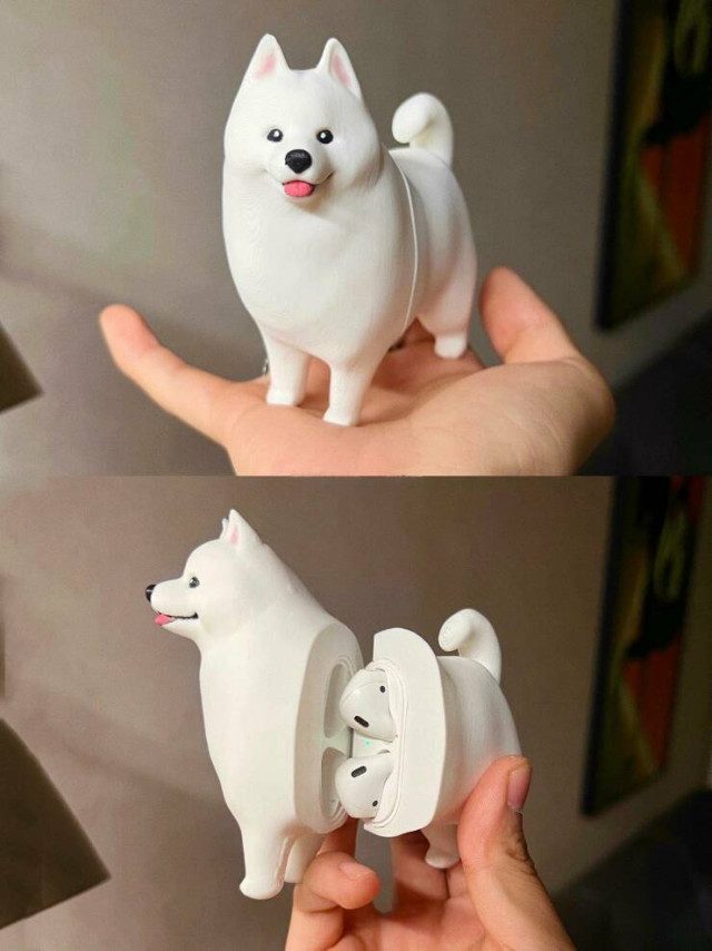 Фотоприколы дня