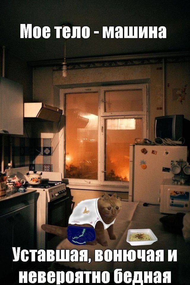 Смешные картинки