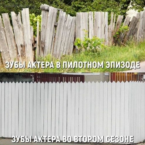 Фотоприколы дня