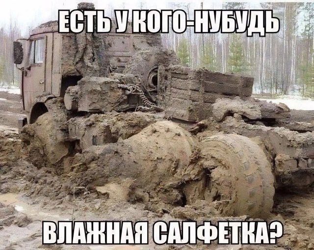 Смешные картинки