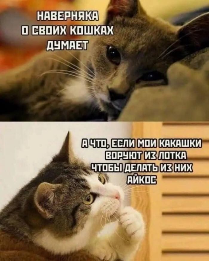 Здесь в основном маразм