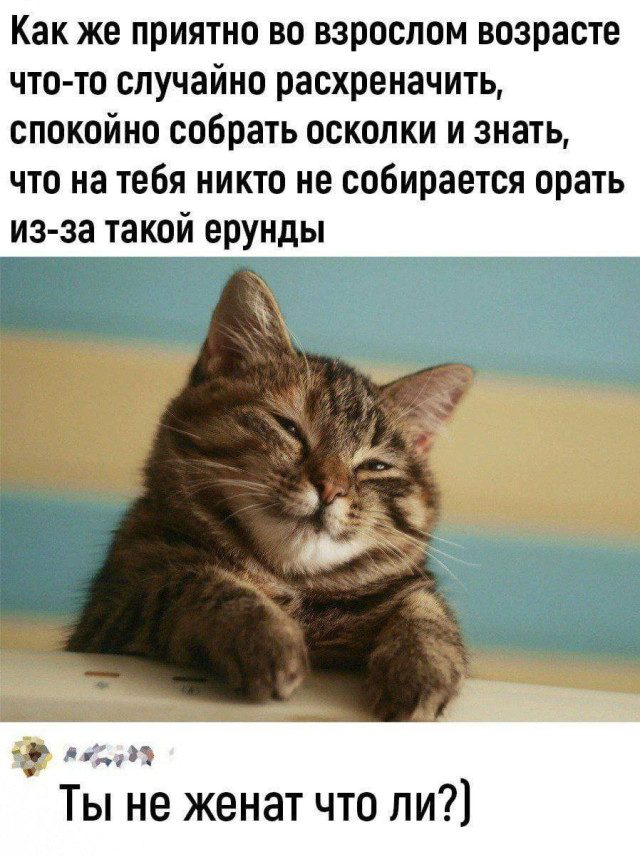 Фотоприколы для всех