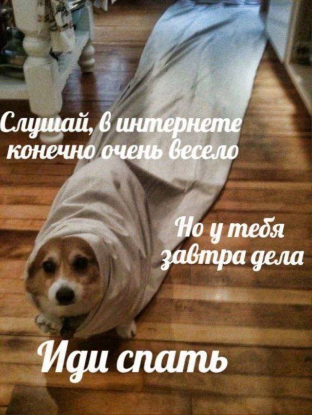 Лучшие шутки и мемы из Сети