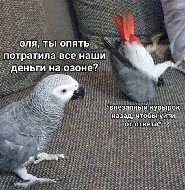 Фотоприколы