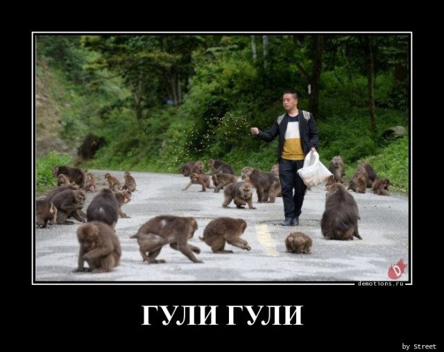 Демотиваторы прикольные для всех