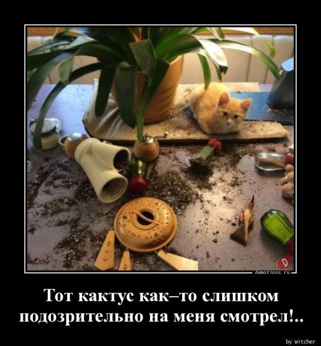 Демотиваторы прикольные для всех
