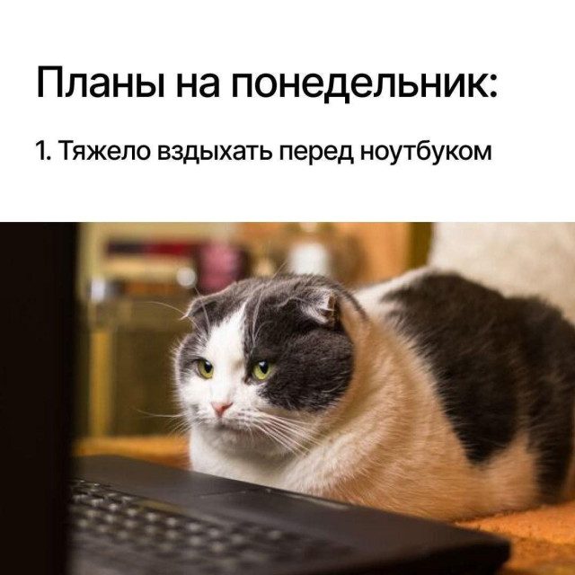 Весёлые картинки