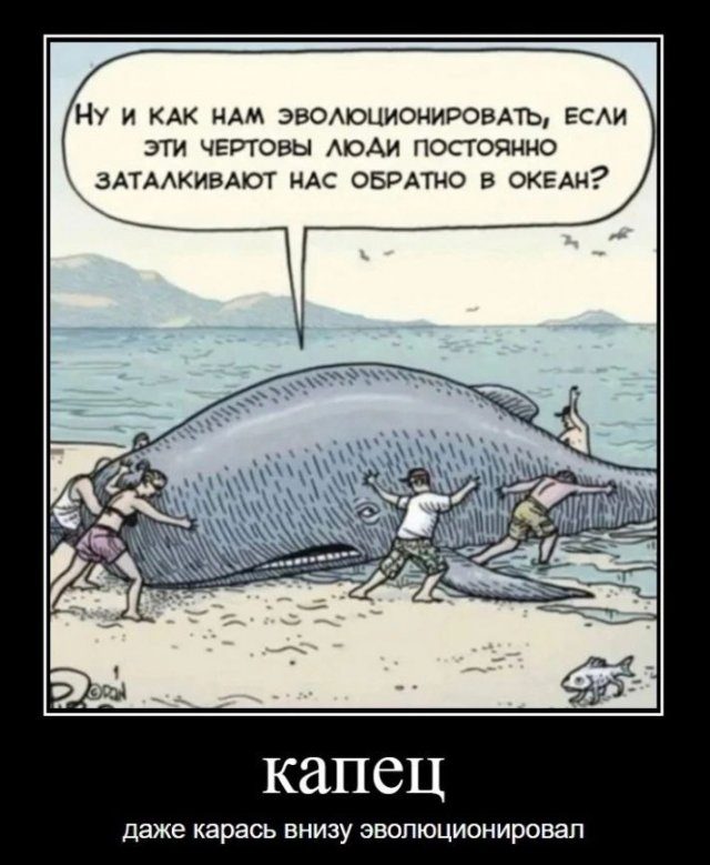 Демотиваторы