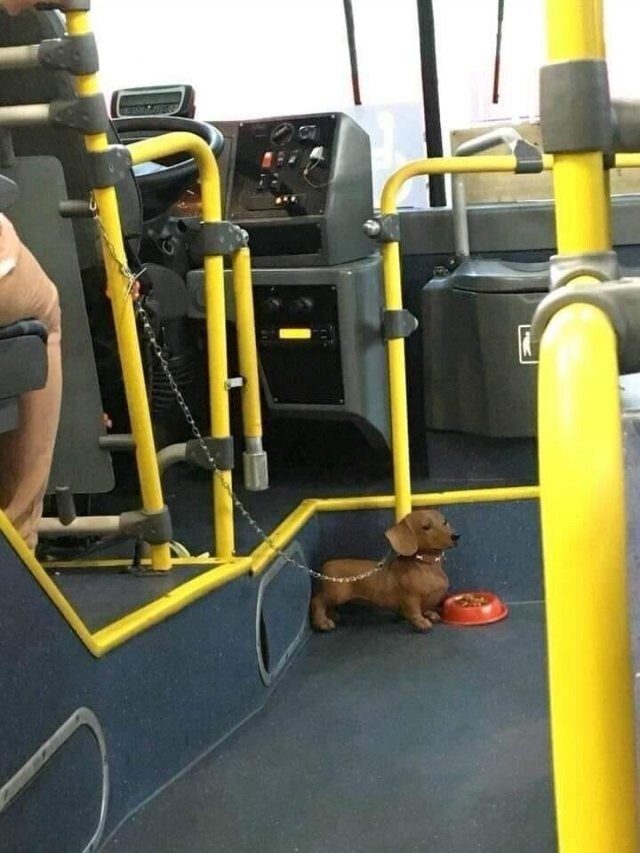 Мемы