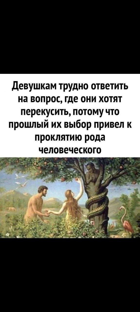 Мемы