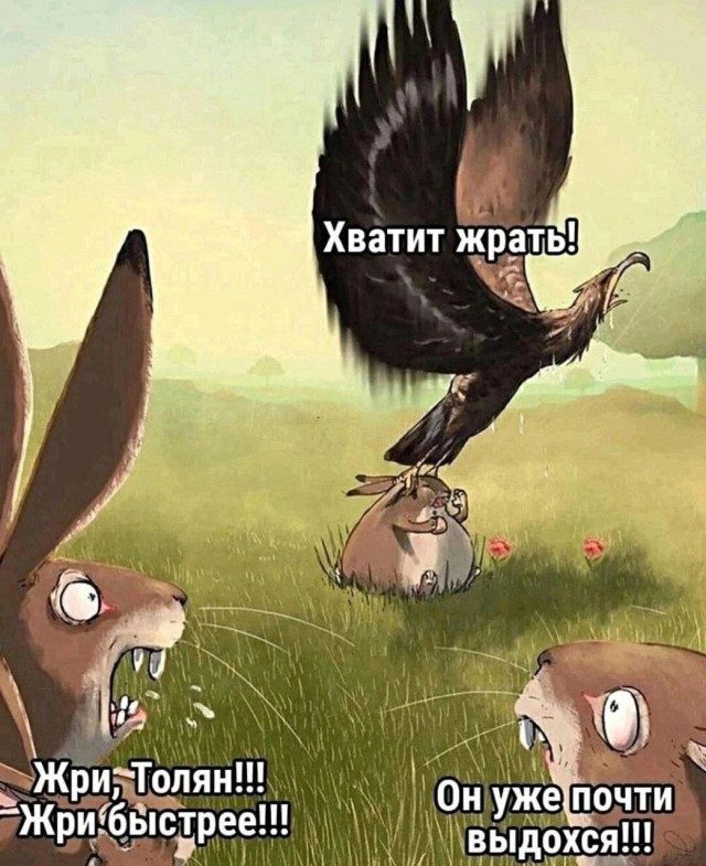 Весёлые картинки