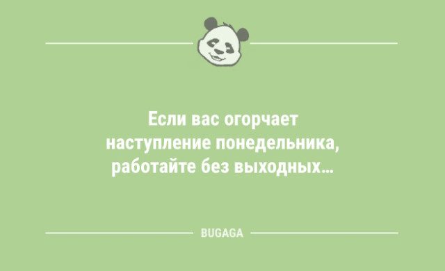 Анекдоты дня