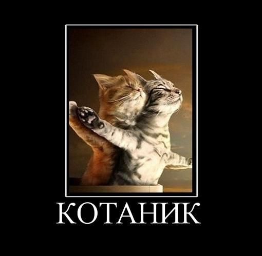 Демотиваторы – приколы