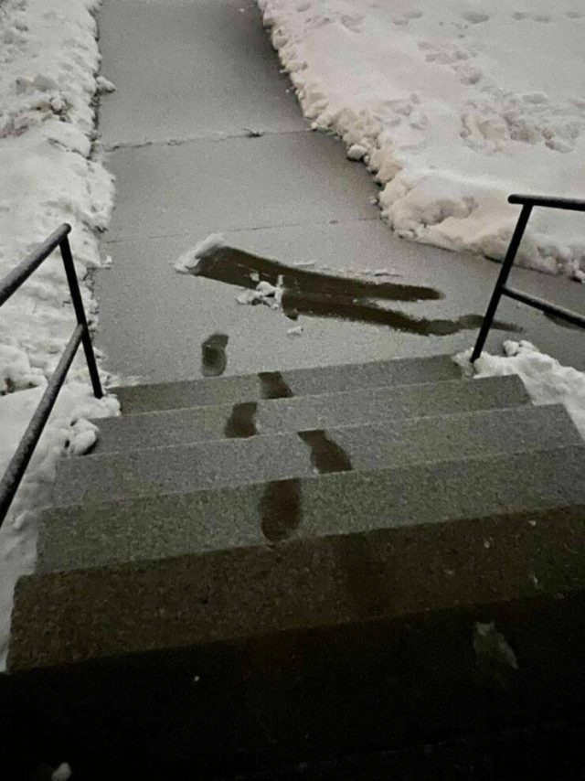 Весёлые картинки