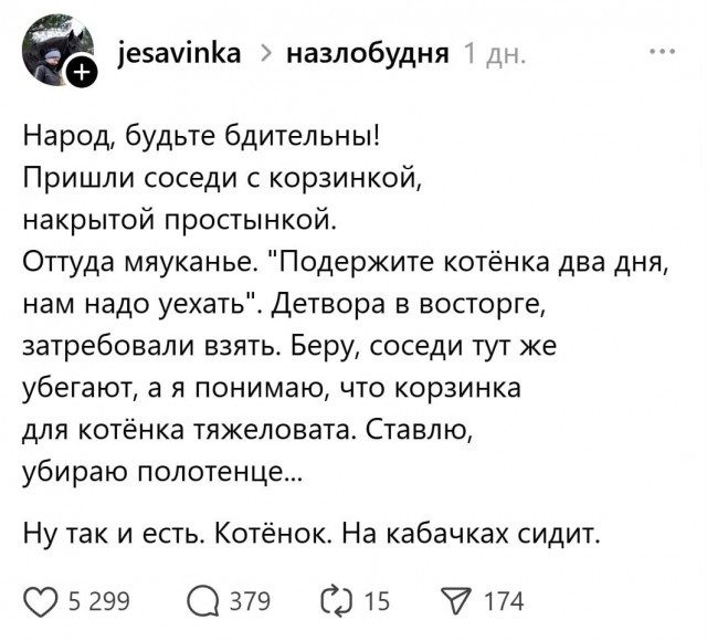 Прикольные картинки, свежий выпуск