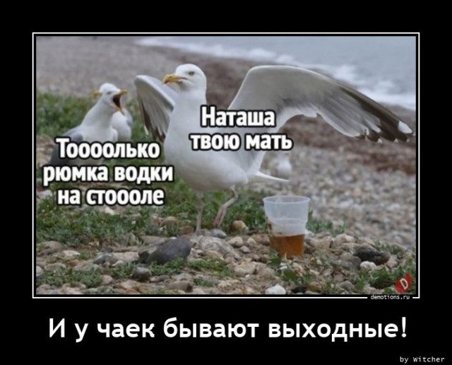 Демотиваторы на любой вкус