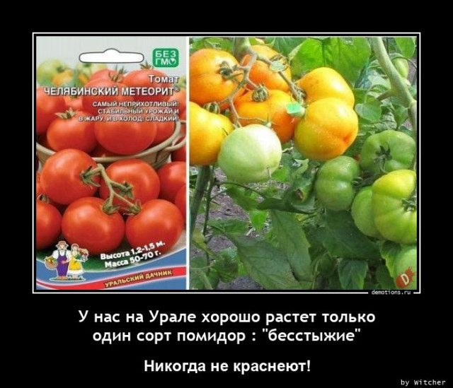 Демотиваторы на любой вкус