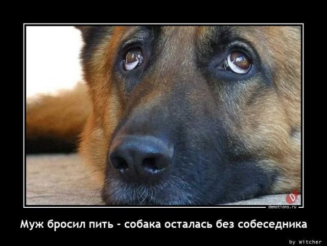 Демотиваторы для отличного настроения