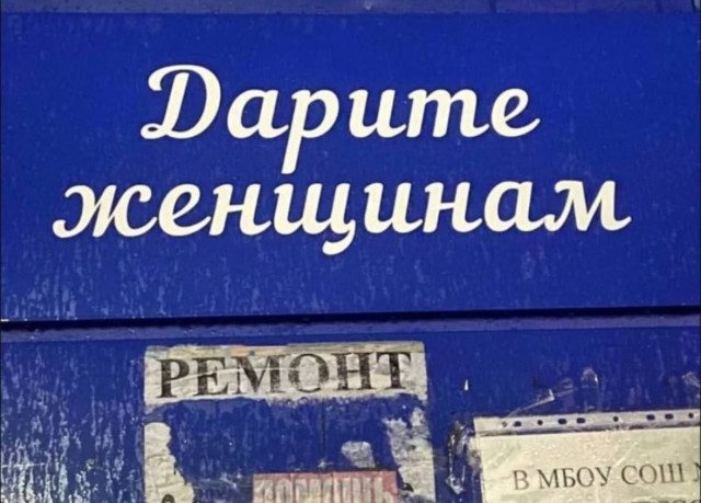 Весёлые картинки дня