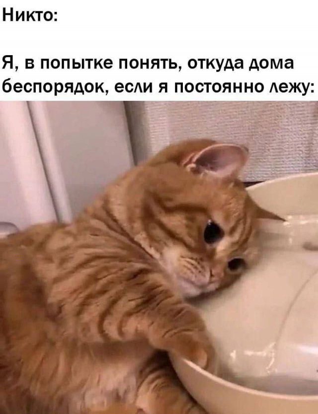 Лучшие картинки