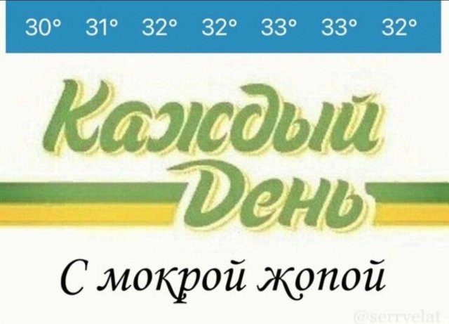 Мемы