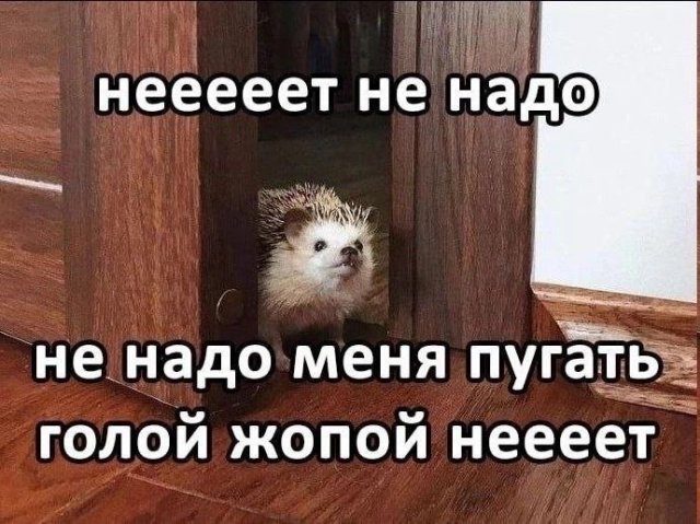 Приколы