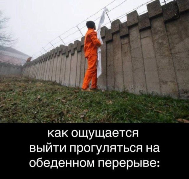 Приколы