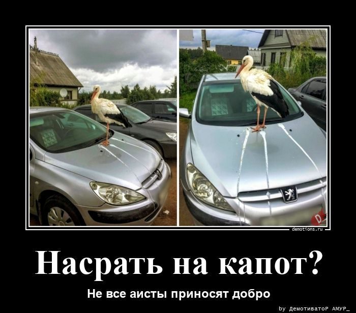 Прикольные демотиваторы