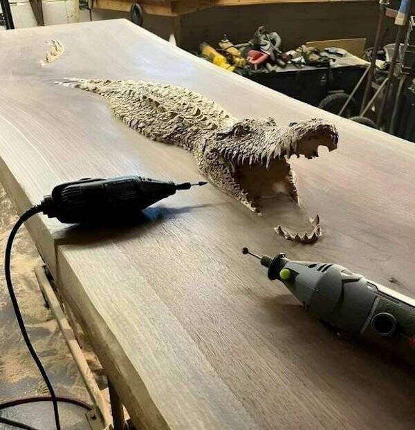 Фотоприколы