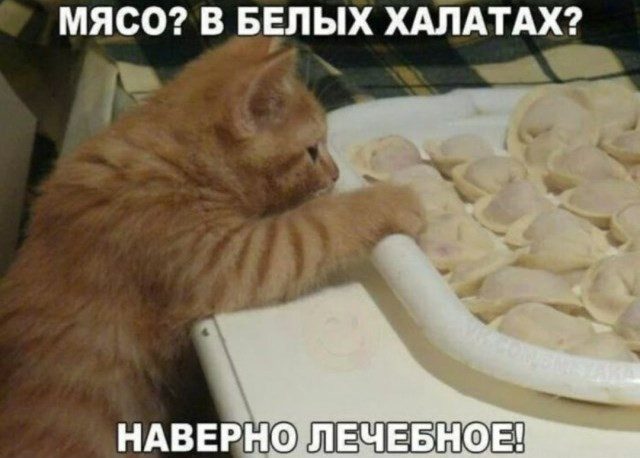 Фотоприколы
