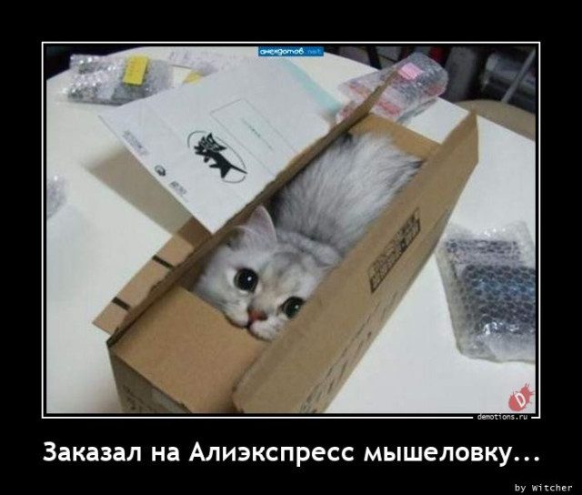Демотиваторы – приколы