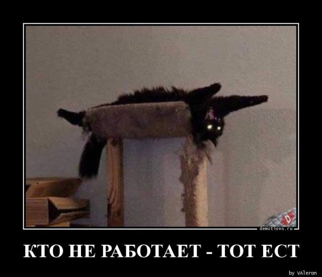 Демотиваторы на любой вкус