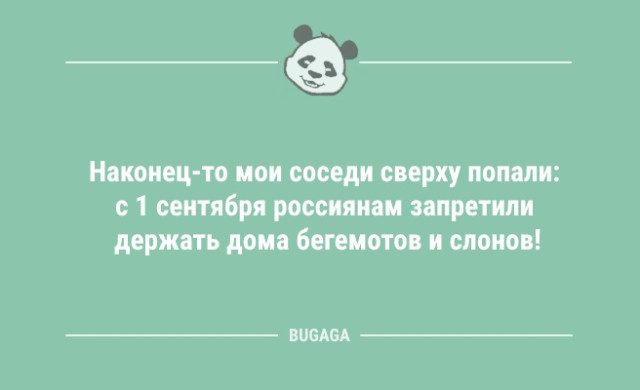 Шутки и анекдоты для всех