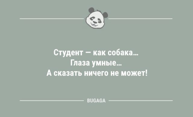 Свежих анекдотов пост