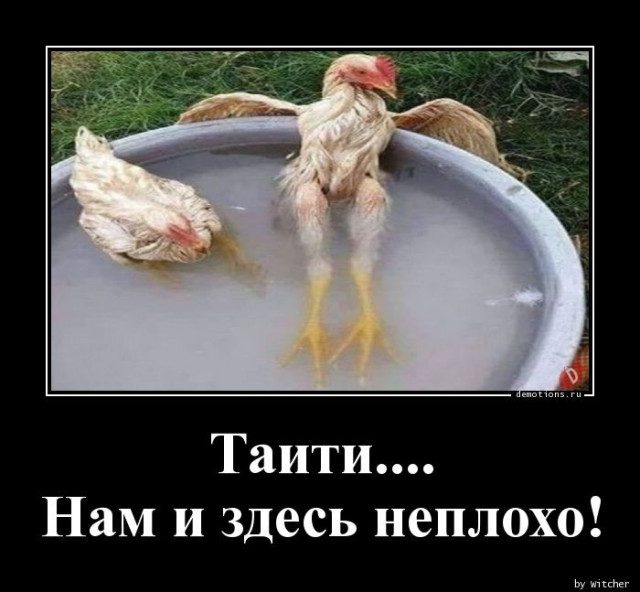 Демотиваторов пост