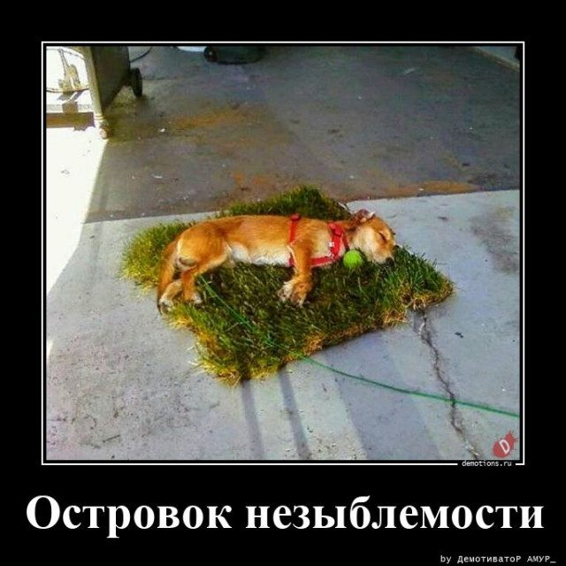 Демотиваторов пост