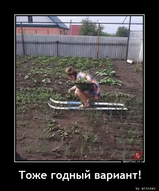 Демотиваторы дня