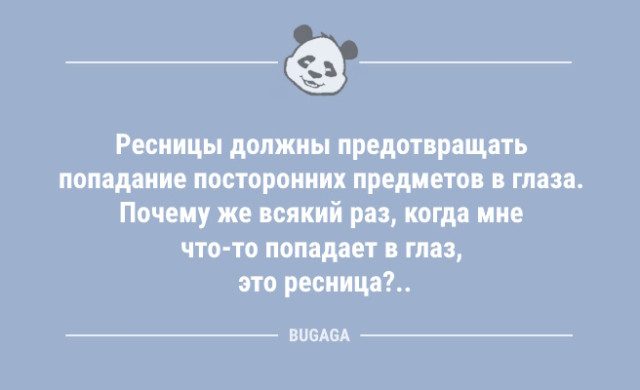 Анекдоты дня