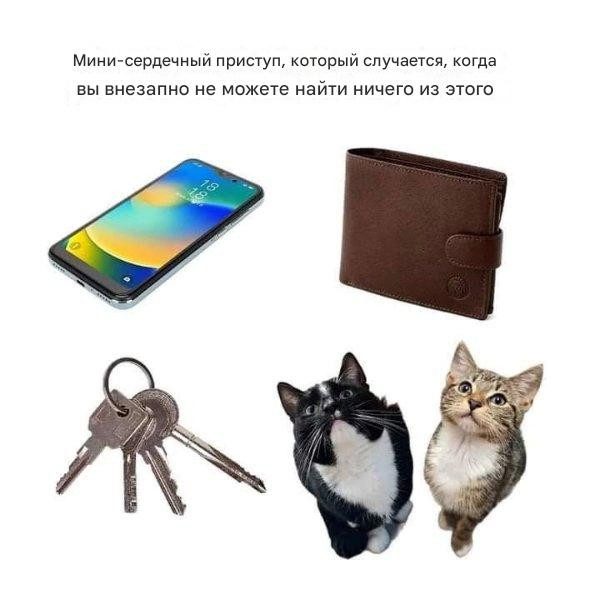 Котомемы для настроения