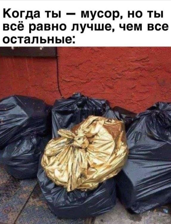 Смешные картинки